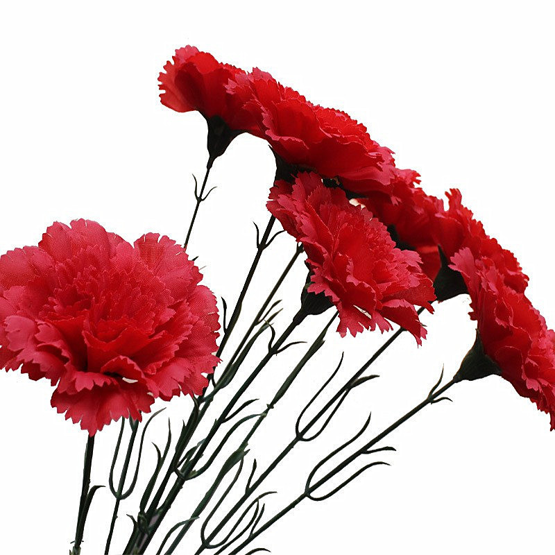 Silk Flower Lilac Flower Simulation Flower Carnation Mother's Day Teacher's Day Single Carnation Gift Flower Fake Flower Activity Flower