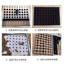 �S��ֱ�N���籭�Ӻ��b������ �I�B�������b���� �������b��ģ��