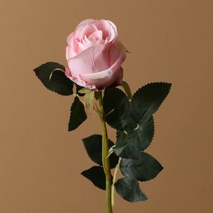 (Wholesale), realistic art decoration for home use, french style