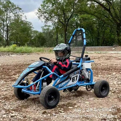 Motosiklet alışdırma bobinləri Kart Gasoline Atv Venue