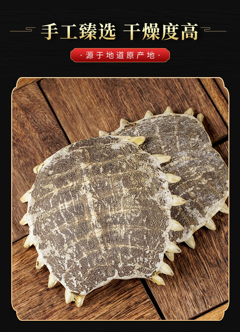 Bie Jia (Trionyx sinensis Carapace) — Vinegar-Processed Soft-Shell Turtle Shell, Dried TCM Herb in use