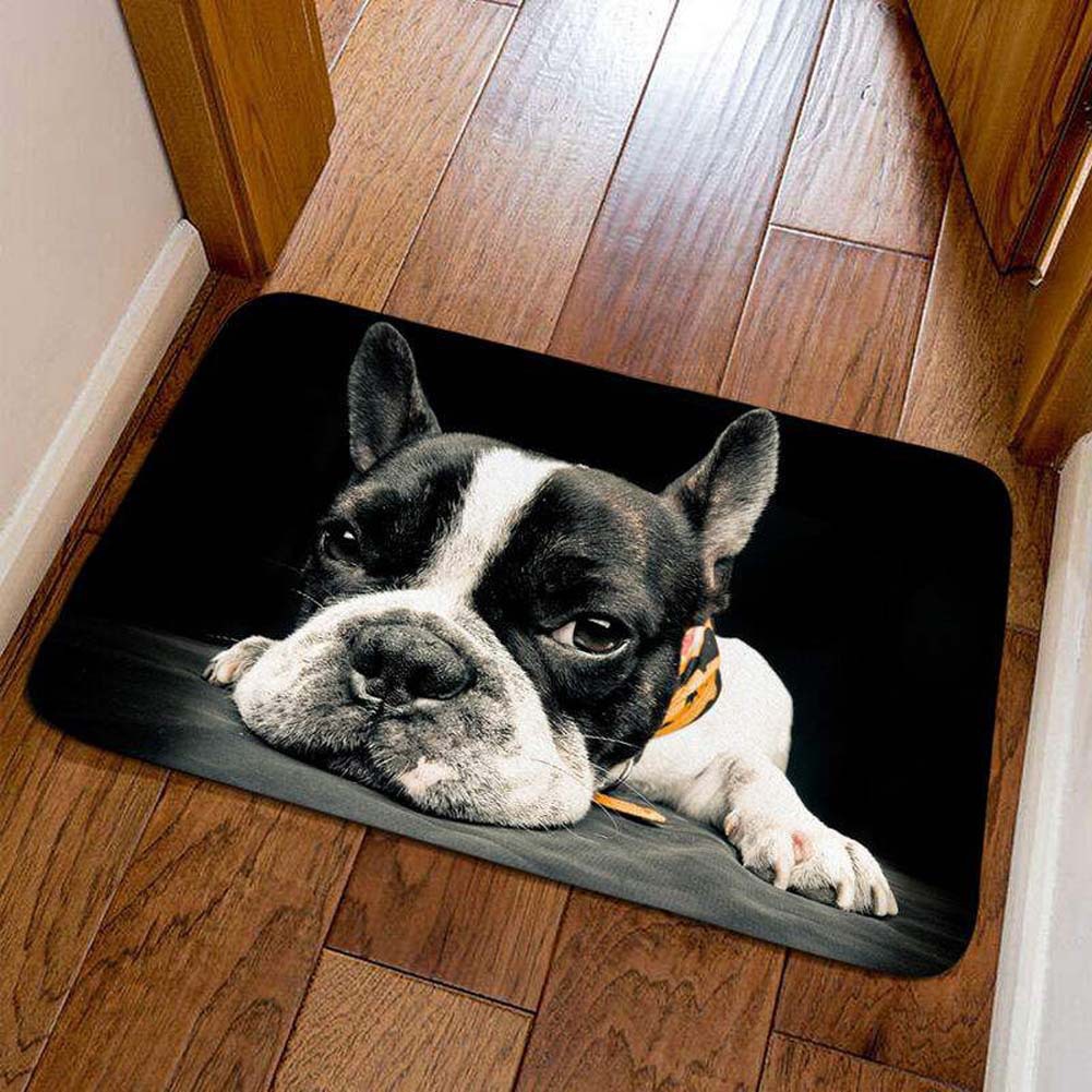 Cross-border cute pet cat decorative floor mat, bathroom absorbent skin-friendly foot mat, easy to maintain, entryway entrance mat, available for dropshipping
