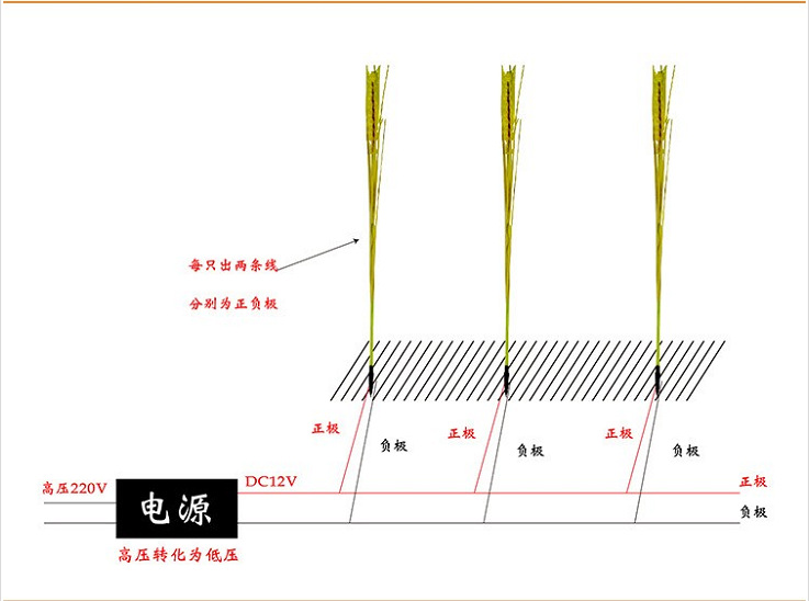 微信图片_20221014105051