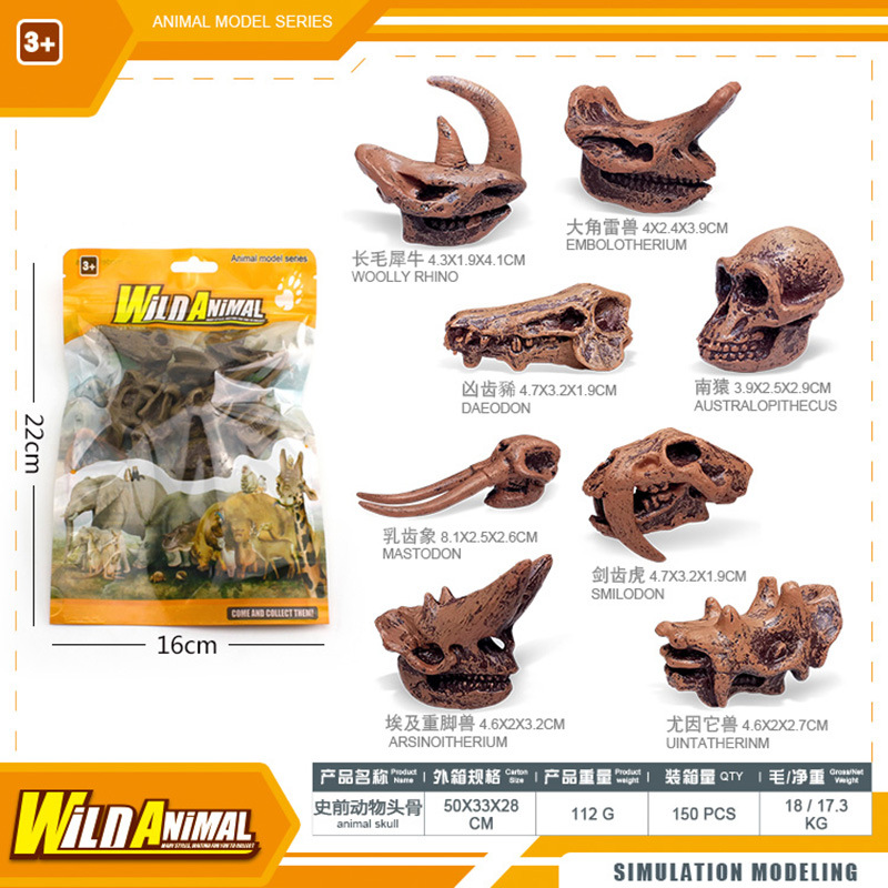 BL - 1012D Cráneo de animal prehistórico 112g