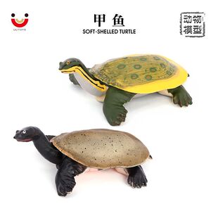 ���溣��������Mģ�͵�ˮ���~���A�M�����_�~�[����߃�ͯ�J֪