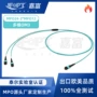 多模分支2xmpo-12mpo-24跳线
