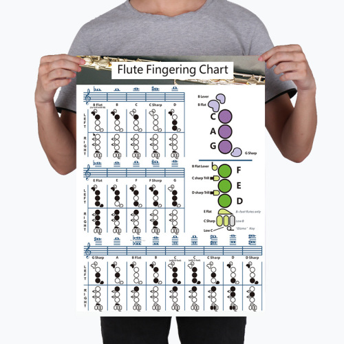 Wholesale flute chord fingering chart Flute Chord flute chord fingering chart Flute practice comparison chart