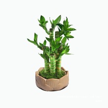 ������F��������ʽ�U��Gֲ���k���҃���ؔ��������Դ�^���S���l