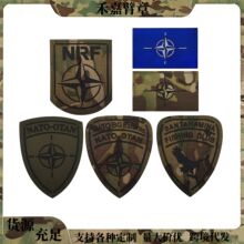 NATO-Otan NRF�Բ�ʿ����IR�t�ⷴ����~�㘷�������g�a�����l