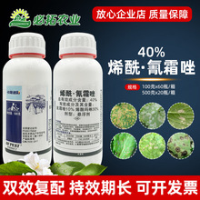 ͷؿϲ40%ϩ˪˪ùũҩɱϩ