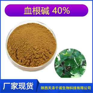 ǧ�Z���� Ѫ���| 40% �������ȡ�� ���| ��20% 60% �����b