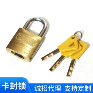 卡封锁铜锁挂锁 银行钱箱提款箱调款凭证包用管理锁单头开锁厂家