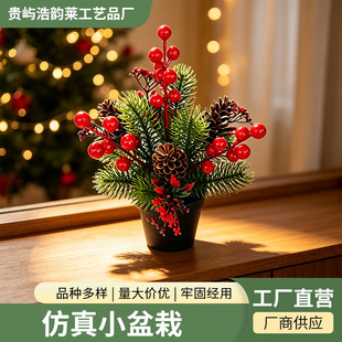 �}�Q����С���Լt���ɹ���֦�[�����晻�������b���Gֲ�辰