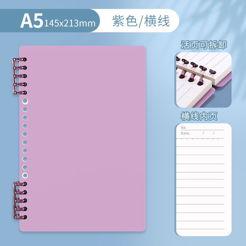 A5 • purple • horizontal line • 1 book