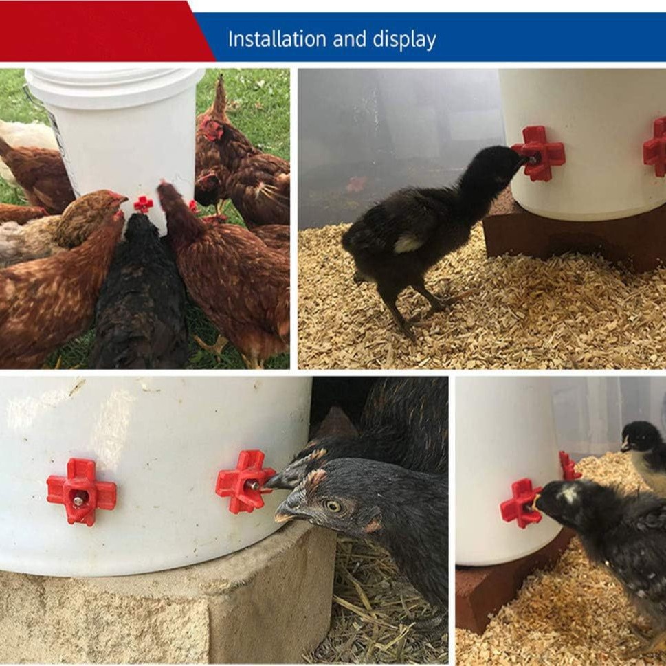Bebederos automáticos para pollos Bebederos cruzados de pollo de comercio exterior transfronterizo
