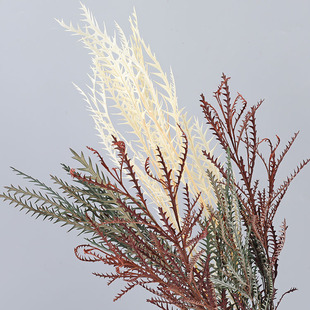 �������ɻ���X�~С�~�S����Ȼֲ���Ĕz�bS�����l�廨�����滨