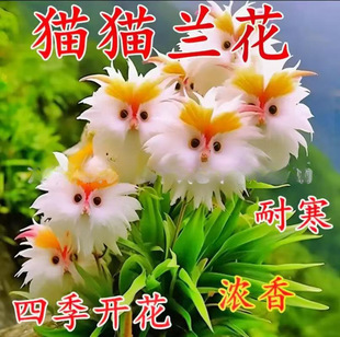 ������u��Ę؈�m���M��������¿��������οɐ�����ҷ�����ȩ