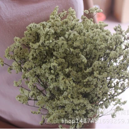 Сухой кристаллический букет Grass (Statice) — смешанные натуральные цвета, декоративная цветочная композиция, 0,06 кг