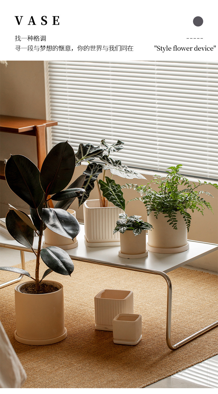 855b8791-84f0-4ef0-9f84-8735e56c1fe3.jpe