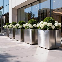 �Fˇ���䲻�P䓻���M���������ۻ�������ͥԺ�V���Gֲ����໨��