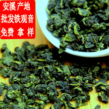 茶农产地批发安溪浓香型铁观音茶叶七泡有余香