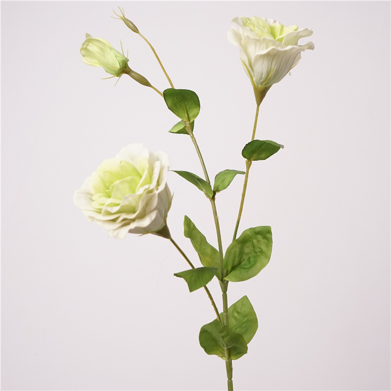 촉촉한 도라지그린 느낌