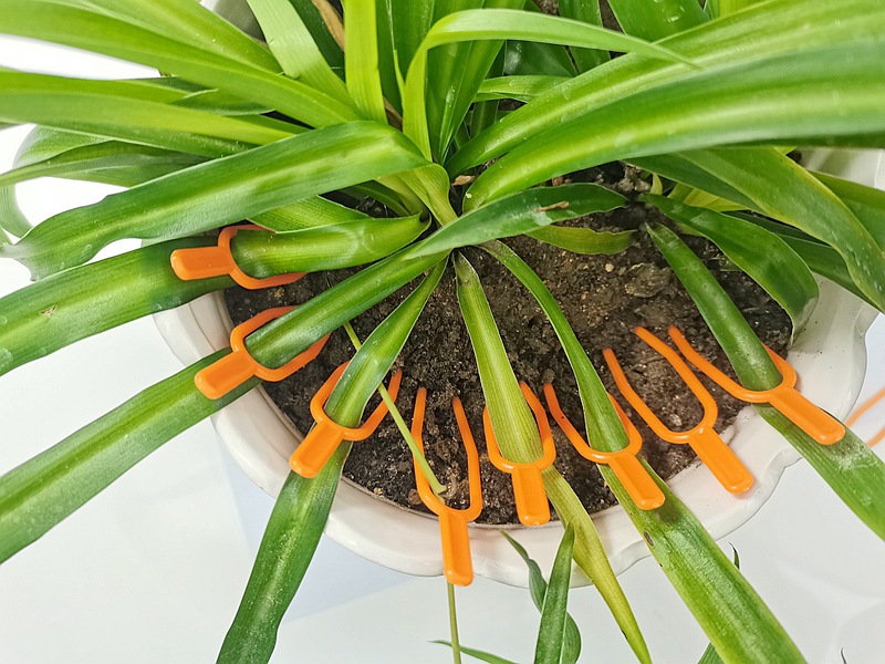 IMG_20230308_105352_副本_副本