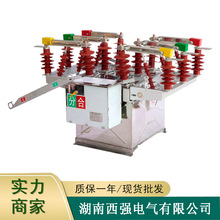 ZW8-12FG/630A���⽻���߉���Ք�·���b�ز��P䓎����x10kv늄�