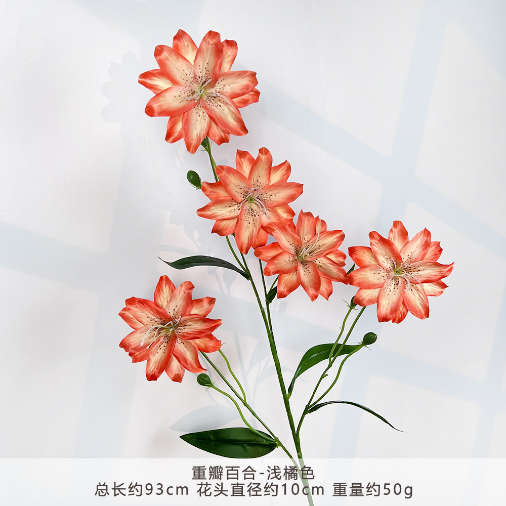 WP-double lily-màu cam nhạt