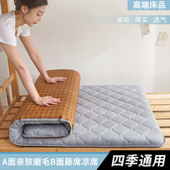 新型冬夏両用家庭用学生寮マットレスa面親肌磨毛b面藤席凉席四季通用