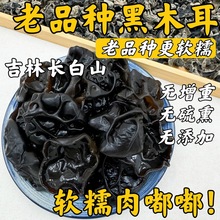 �������؛�|����Ʒ�NܛŴ��ľ�������L��ɽ��ľ�����o����؛