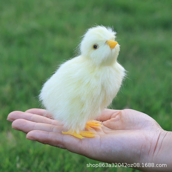 Look up the chick (with a vocal)