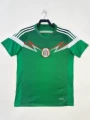 2014 Mexico Home Stadium