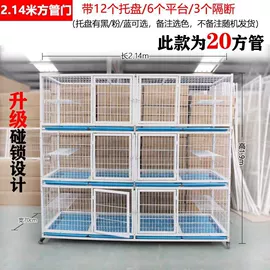 鸟笼;猫猫窝/笼/垫;鸟类