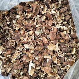 杨树蘑地扣蘑土豆蘑口蘑野生蘑菇坝上口蘑地抠蘑新货干货特价批发