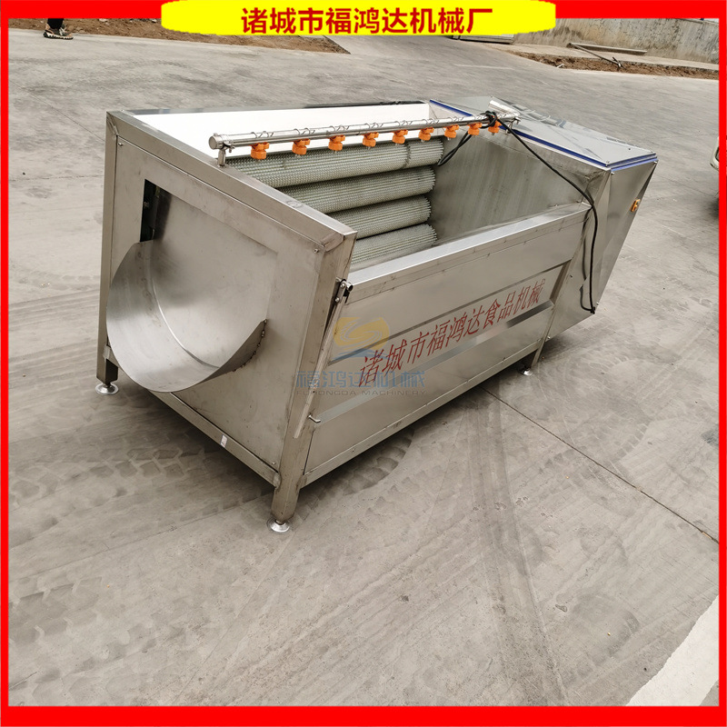 马蹄莲清洗机 不锈钢猪头毛刷清洗机 十根毛刷的洗土豆机器