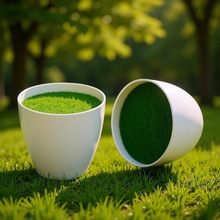 仿瓷塑料带泡沫植绒整套小花盆迷你小花瓶可插花桌面小摆件饰品