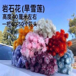 �M����ʯɺ����С�y�ռҾ��b����������λ�DIY�[��