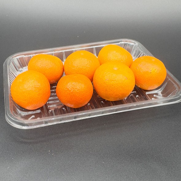 一次性生鲜托盘水果西瓜果切托盘食品托盘吸塑底托超市外卖包装盒