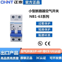 ��̩ NB1-63 ��������1P2P3P4P���ÿ���6A10A63A ��UL&middot;CE��֤