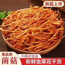 虫草花大量批发农家今年新货蛹虫草菌菇干货煲炖一件代发厂家批发
