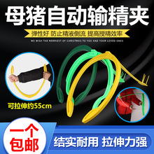 �i���Ԅ�ݔ���Aĸ�iݔ��֧���i���A�i����N����N�A�Bֳ�O��