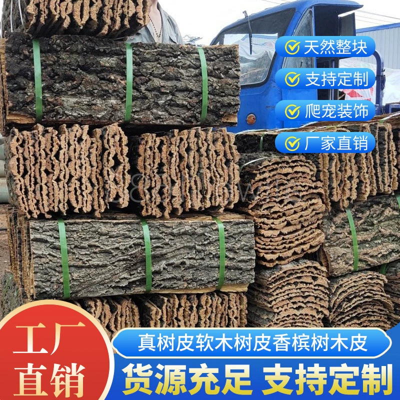 Истинная кора Кора пробки Кора шампанского лазанья в аквариуме