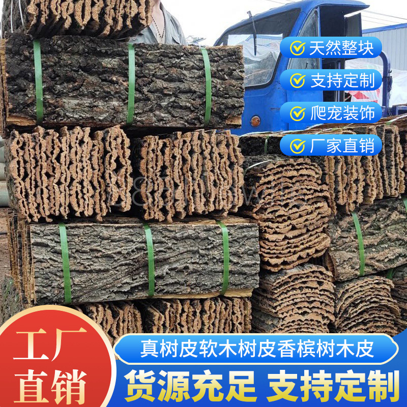 Real Bark Cork Bark Champagne Bark Climbing Pet Fish Tank Landscape Green Plant Wall Decoration Aquarium Decoration Wall Bark