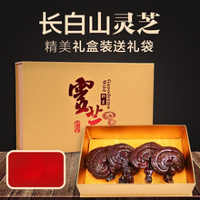 长白山灵芝礼盒装东北半野生灵芝紫灵芝礼盒可切片买五送一盒