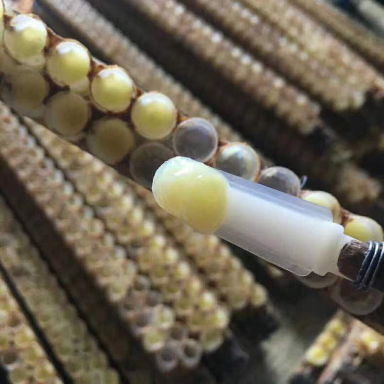 微信图片_20220415090104蜂王浆4