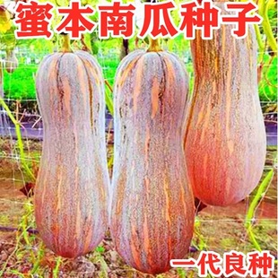 �ܱ��ϹϷN��ʳ�������Ŵؐؐ�Ϲ������ϹϷN���ݼ�ͥ�߲˷N��