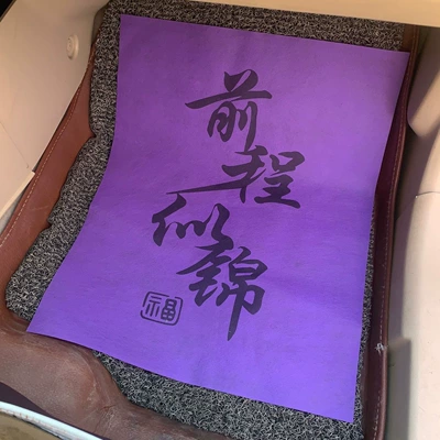 Ayaqaltılar (Kovriklər) – Paper Foot Pads Thickeneded - height-50width-40-50-upgraded-and-thickened-sheets-purple-has-a-bright-future
