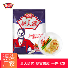 极美滋健身餐鸡胸肉腌制调料2.5kg水煎鸡排调味料水煮鸡脯肉腌料