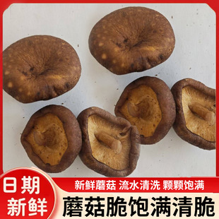 �㹽����ߴ�ƬĢ����ɢ�bÓˮ��ʳС�Լ�ʳ�߲˸��ִ�����l����